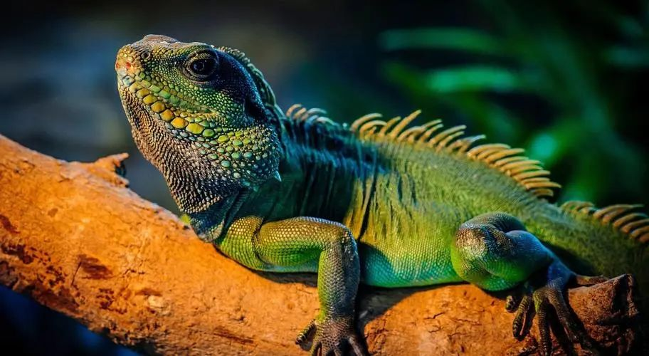 圖片2.png 圖片2.png